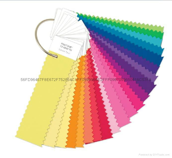 PANTONE Fashion + Home Nylon Brights Set 5