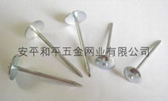 Umbrella roofing nails