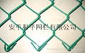 Chain link fence 3