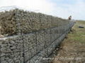 gabion 2