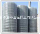 galvanized welded wire mesh 2