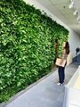 防水型牆體綠化 4