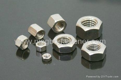 Stainless steel hex nuts