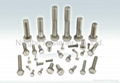 Stainless steel hex bolts 1