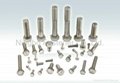 Stainless steel hex bolts