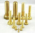 Brass bolts Brass screws Brass threaded rods Brass fasteners Brass auto parts 1