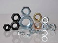 Hex nuts