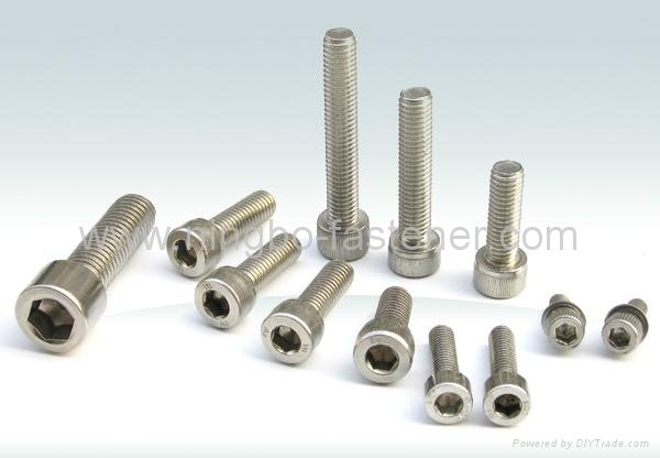 Stainless steel socket cap screws