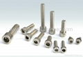 Stainless steel socket cap screws