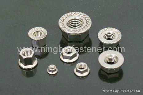 Stainless steel flange nuts