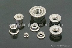 Stainless steel flange nuts