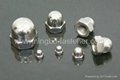 Stainless steel dome cap nuts