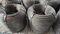 carrier   wire