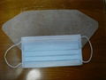 Standard Surgical Mask for Your Every Day Needs 1