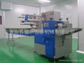 Pillow Type Fully Automatic Wrapping