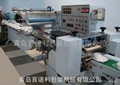 Shrink Wrapping Machine for Disinfected Tableware 2