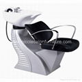 Shampoo Chair