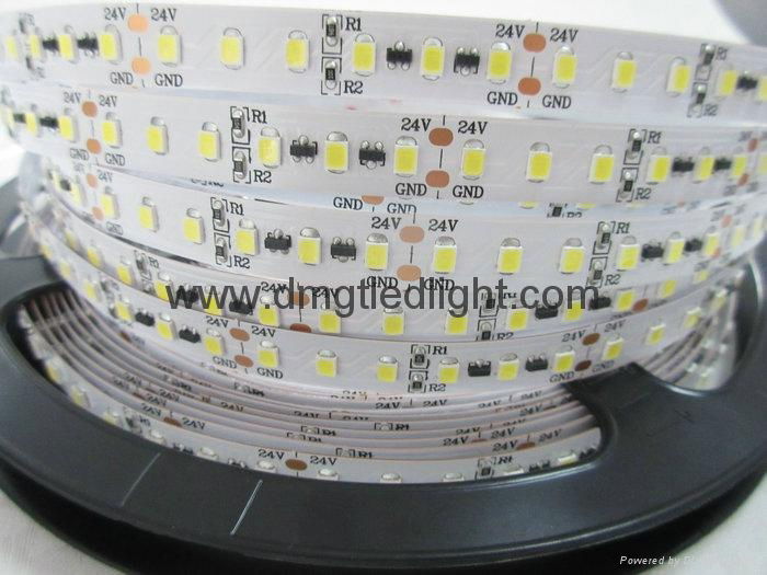 DC24V IC Constant Current LED Strip Light