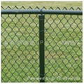 Chain Link Fence  2