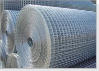 Galvanized Welded Wire Mesh