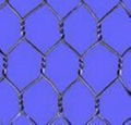 Hexagonal Wire Netting  1