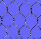 Hexagonal Wire Netting