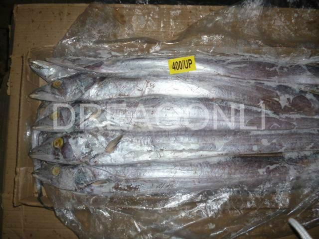 Ribbonfish 2