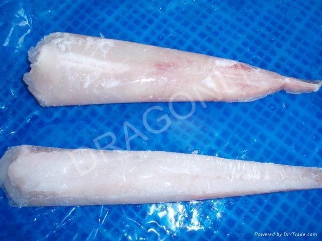 Monkfish tails & fillets 