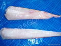 Monkfish tails & fillets