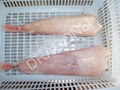 Monkfish tails & fillets  3