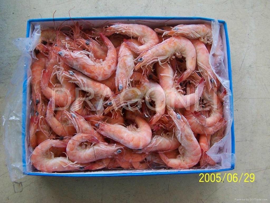 Vannamei shrimp  2