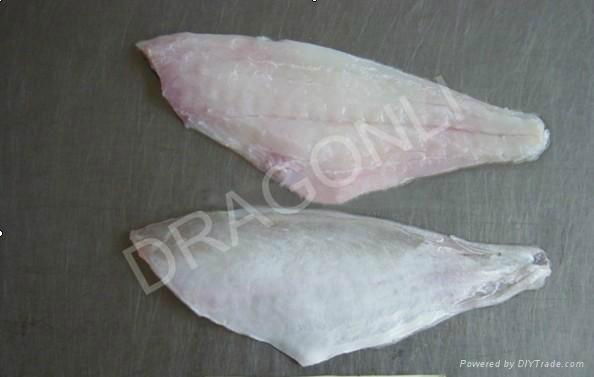 Leather Jacket fillets