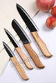 ceramic kitchen knife (Classic series) 1