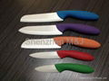 Ceramic Kitchen Knives(Foliage Series)