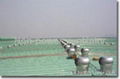 Industrial Turbine Rooftop Ventilators (Ventilation) 3