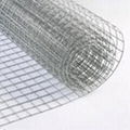 welded wire mesh 1