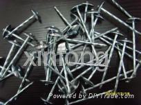 roofing nails