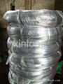 galvanized wire  1