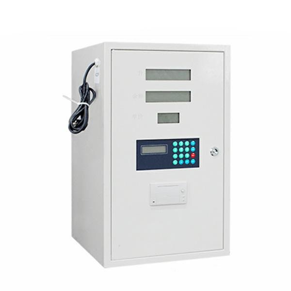 12V/24V/220V Mini Petrol Diesel Fuel Dispenser with Printer 