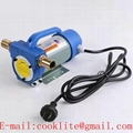 AC 220V Portable Diesel Oil Transfer Pump - Electric Fuel Dispenser Pump for Mini/Mobile Gas Filling Station 300W 50L/Min