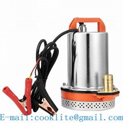 Solar Powered Sump Pump DC 12/24V 48V Submersible Water Pump