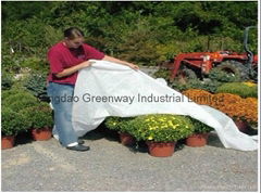 non-woven fabric