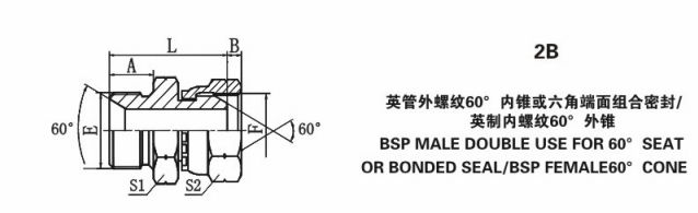  BSP male / female 60 degrees cone hydraulic fittings 2