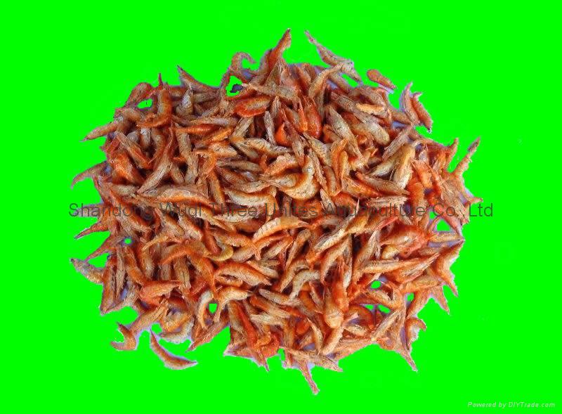 aquarium feed,aquarium fish food