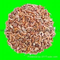 aquarium feed,aquarium fish food