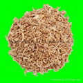 aquarium feed,aquarium fish food 4