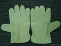 Pig leather driver glove 1