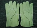 Pig leather driver glove 4