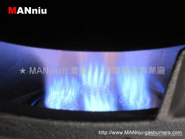 X73 Seven IR fast iron gas burner 3