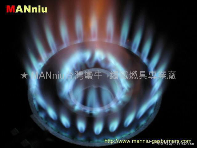 L11  Fast gas iron burners 2
